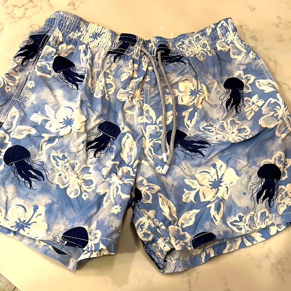 Vilebreuin mens swim trunks